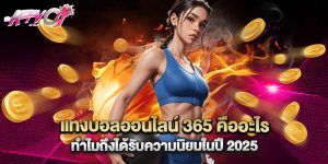 แทงบอลออนไลน์ 365 คืออะไร ทำไมถึงได้รับความนิยมในปี 2025